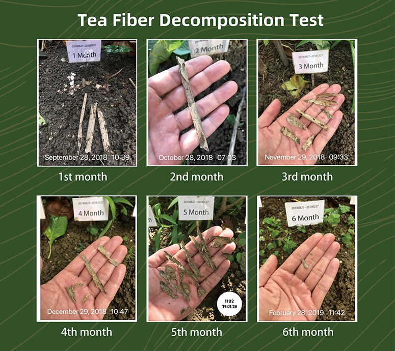 Tecnologia Buletedan