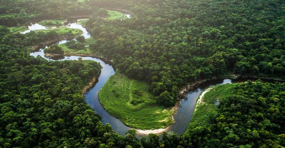 Tecnologia Buletedan