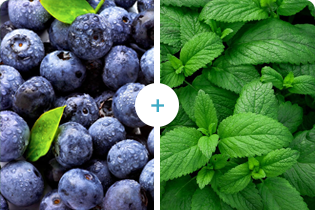 Tecnologia Buletedan