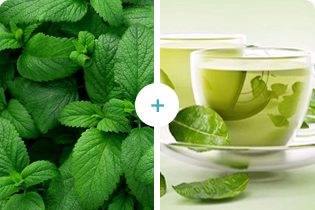 Tecnologia Buletedan