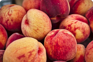 Tecnologia Buletedan