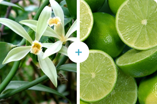 Tecnologia Buletedan