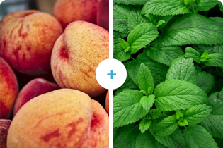 Tecnologia Buletedan