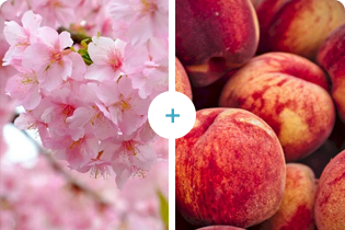 Tecnologia Buletedan