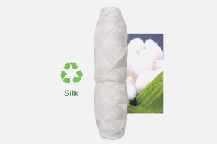 Tecnologia Buletedan